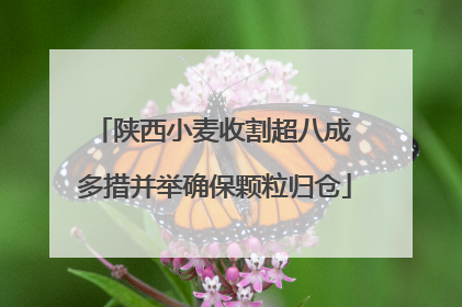 陕西小麦收割超八成 多措并举确保颗粒归仓