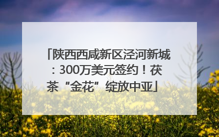 陕西西咸新区泾河新城：300万美元签约！茯茶“金花”绽放中亚