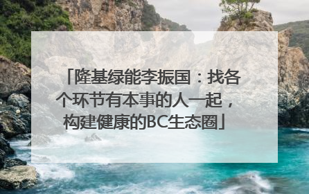 隆基绿能李振国：找各个环节有本事的人一起，构建健康的BC生态圈