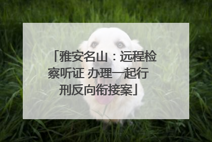 雅安名山：远程检察听证 办理一起行刑反向衔接案