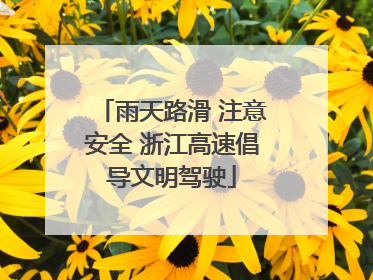 雨天路滑 注意安全 浙江高速倡导文明驾驶