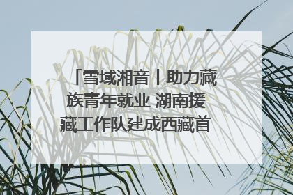 雪域湘音丨助力藏族青年就业 湖南援藏工作队建成西藏首个清洁能源装备园