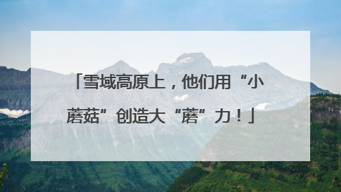 雪域高原上，他们用“小蘑菇”创造大“蘑”力！