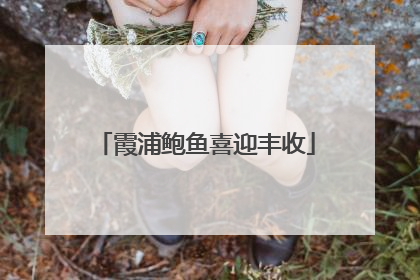 霞浦鲍鱼喜迎丰收