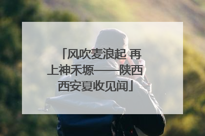 风吹麦浪起 再上神禾塬——陕西西安夏收见闻