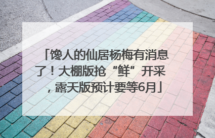 馋人的仙居杨梅有消息了!大棚版抢“鲜”开采,露天版预计要等6月