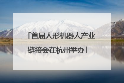 首届人形机器人产业链接会在杭州举办