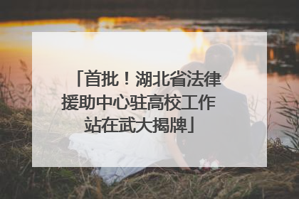 首批！湖北省法律援助中心驻高校工作站在武大揭牌