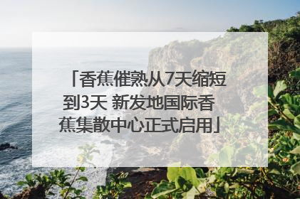 香蕉催熟从7天缩短到3天 新发地国际香蕉集散中心正式启用