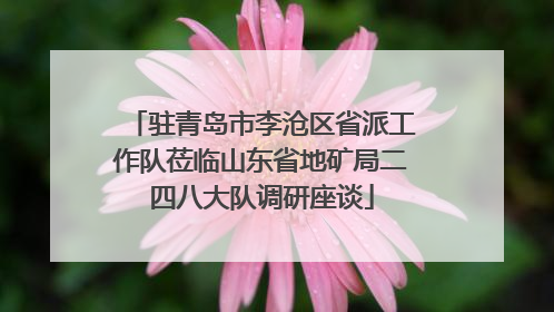 驻青岛市李沧区省派工作队莅临山东省地矿局二四八大队调研座谈