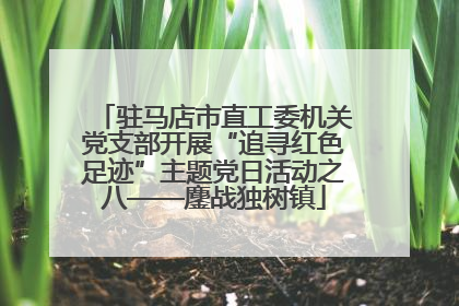 驻马店市直工委机关党支部开展“追寻红色足迹”主题党日活动之八——鏖战独树镇