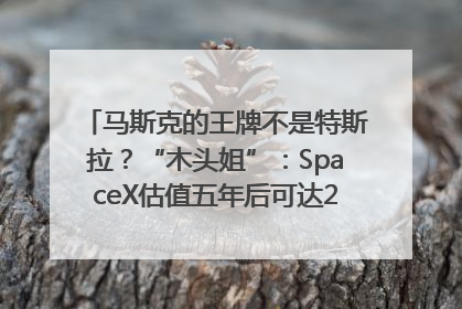 马斯克的王牌不是特斯拉？“木头姐”：SpaceX估值五年后可达2.5万亿美元！