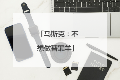 马斯克：不想做替罪羊