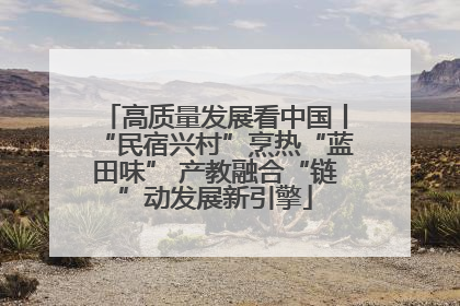 高质量发展看中国丨“民宿兴村”烹热“蓝田味” 产教融合“链”动发展新引擎