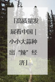 高质量发展看中国｜小小大蒜种出“辣”经济