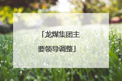 龙煤集团主要领导调整