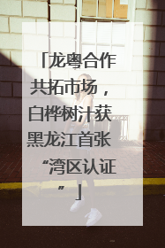 龙粤合作共拓市场，白桦树汁获黑龙江首张“湾区认证”