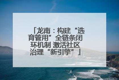 龙南：构建“选育管用”全链条闭环机制 激活社区治理“新引擎”
