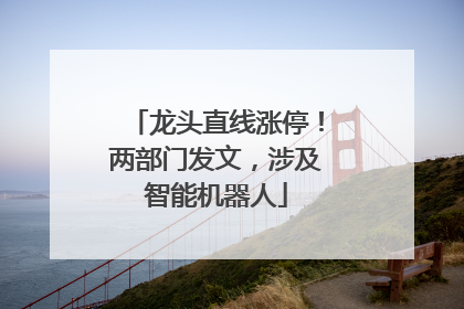 龙头直线涨停！两部门发文，涉及智能机器人