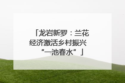 龙岩新罗：兰花经济激活乡村振兴“一池春水”