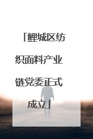 鲤城区纺织面料产业链党委正式成立