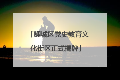 鲤城区党史教育文化街区正式揭牌