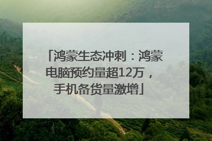 鸿蒙生态冲刺：鸿蒙电脑预约量超12万，手机备货量激增