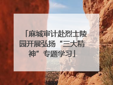 麻城审计赴烈士陵园开展弘扬“三大精神”专题学习