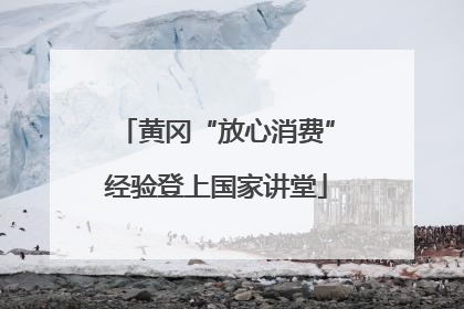 黄冈“放心消费”经验登上国家讲堂