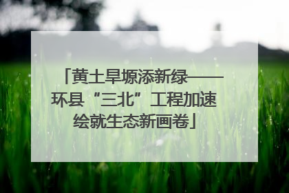 黄土旱塬添新绿——环县“三北”工程加速绘就生态新画卷
