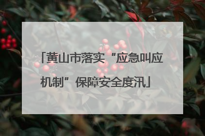 黄山市落实“应急叫应机制”保障安全度汛
