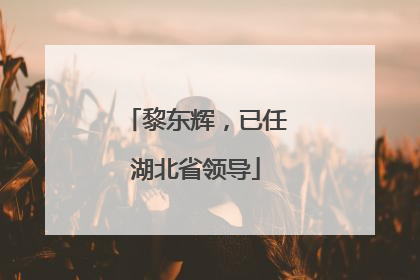 黎东辉，已任湖北省领导