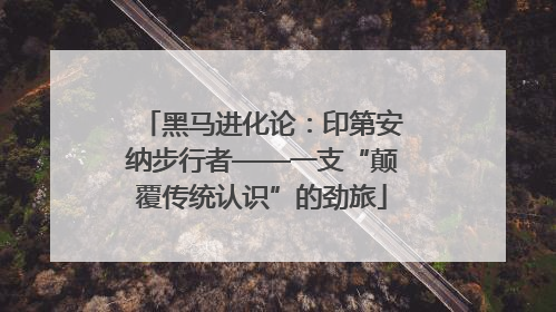 黑马进化论：印第安纳步行者——一支“颠覆传统认识”的劲旅
