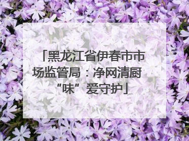 黑龙江省伊春市市场监管局：净网清厨 “味”爱守护