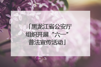 黑龙江省公安厅组织开展“六一”普法宣传活动
