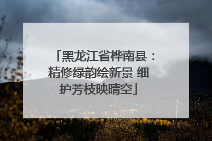 黑龙江省桦南县：精修绿韵绘新景 细护芳枝映晴空
