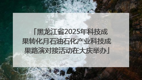 黑龙江省2025年科技成果转化月石油石化产业科技成果路演对接活动在大庆举办