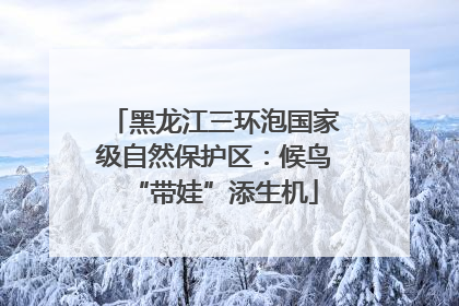 黑龙江三环泡国家级自然保护区：候鸟“带娃”添生机