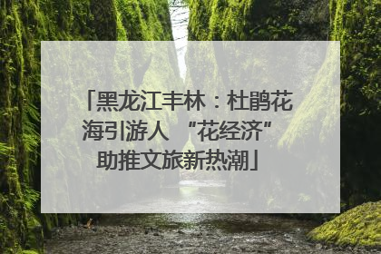 黑龙江丰林：杜鹃花海引游人 “花经济”助推文旅新热潮