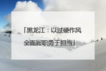 黑龙江：以过硬作风全面履职勇于担当