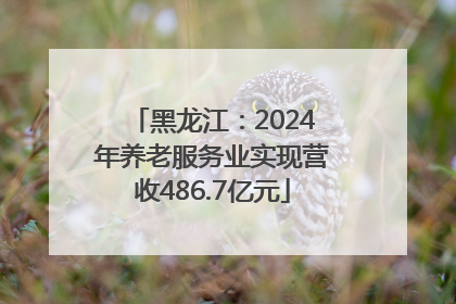 黑龙江：2024年养老服务业实现营收486.7亿元