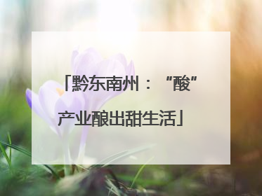黔东南州：“酸”产业酿出甜生活