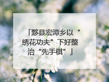 黟县宏潭乡以“绣花功夫”下好整治“先手棋”