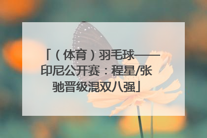 （体育）羽毛球——印尼公开赛：程星/张驰晋级混双八强
