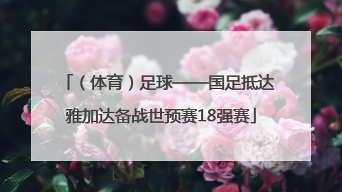 （体育）足球——国足抵达雅加达备战世预赛18强赛