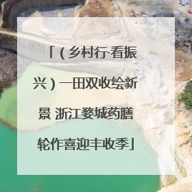 （乡村行·看振兴）一田双收绘新景 浙江婺城药膳轮作喜迎丰收季