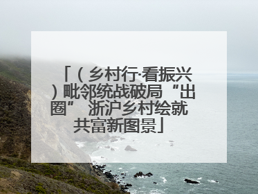 （乡村行·看振兴）毗邻统战破局“出圈” 浙沪乡村绘就共富新图景