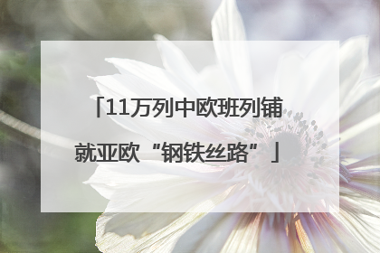 11万列中欧班列铺就亚欧“钢铁丝路”