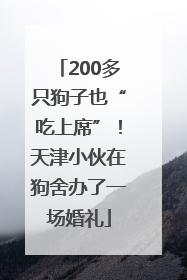 200多只狗子也“吃上席”！天津小伙在狗舍办了一场婚礼