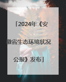 2024年《安徽省生态环境状况公报》发布